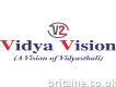 Vidya Vision Online Coaching Classes