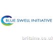 Blueswell Initiative: Multiwasher