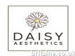 Daisy Aesthetics