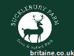 Bucklebury Farm & Deer Safari Park