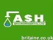 Ash Environmental
