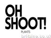 Oh Shoot Plants
