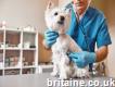Udf Healthcare Veterinary Disinfectant Solutions