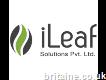 Ileaf Solutions Pvt Ltd.