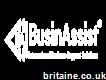 Businassist -international Business Support