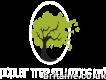 Poplar Tree Solutions Ltd