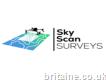 Sky Scan Surveys