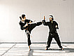 Martial arts in United Kingdom